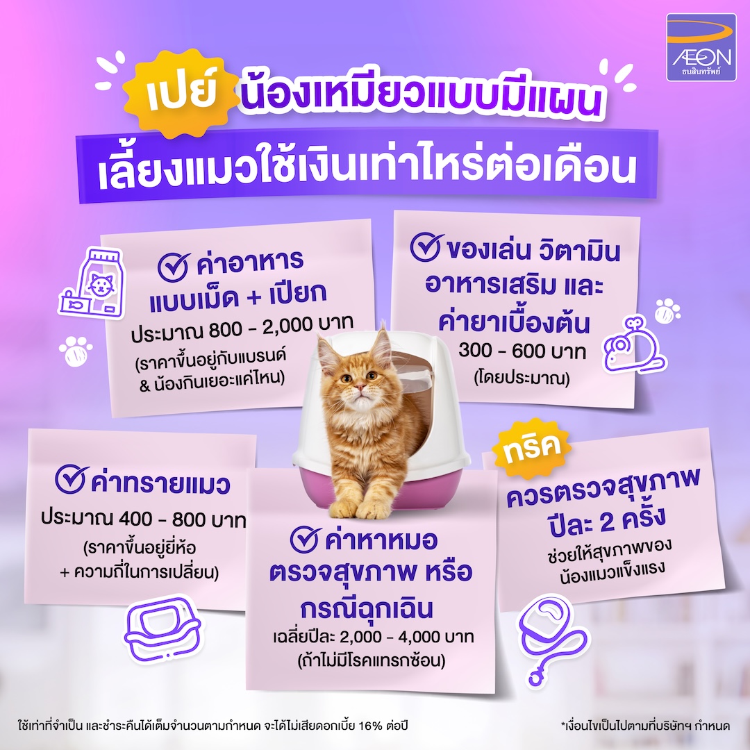 Monthly-Cost-of-Raising-Cat.jpg